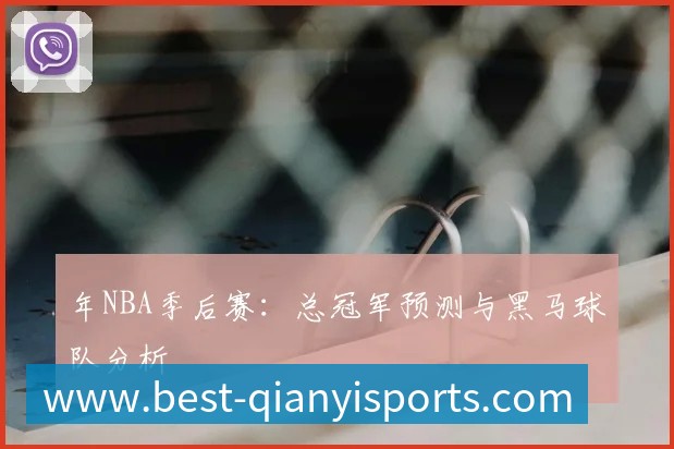 年NBA季后赛：总冠军预测与黑马球队分析